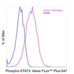 Phospho-STAT3 (Tyr705) Recombinant Mouse Monoclonal Antibody (LUVNKLA), Alexa Fluor™ Plus 647