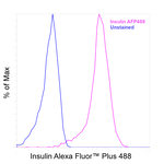 Insulin Antibody in Flow Cytometry (Flow)