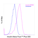 Insulin Antibody in Flow Cytometry (Flow)