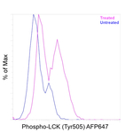 Phospho-LCK (Tyr505) Antibody