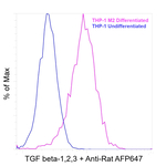 TGF beta-1,2,3 Antibody