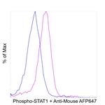 Phospho-STAT1 (Tyr701) Antibody