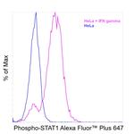 Phospho-STAT1 (Tyr701) Recombinant Mouse Monoclonal Antibody (KIKSI0803), Alexa Fluor™ Plus 647