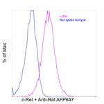 c-Rel Antibody in Flow Cytometry (Flow)