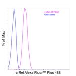 c-Rel Antibody in Flow Cytometry (Flow)