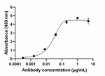 IL-17A Antibody in ELISA (ELISA)