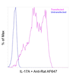 IL-17A Antibody in Flow Cytometry (Flow)