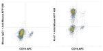 Ki-67 Antibody in Flow Cytometry (Flow)