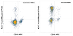 Ki-67 Recombinant Mouse Monoclonal Antibody (20raj1)