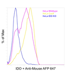 IDO Antibody in Flow Cytometry (Flow)