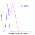 IDO Antibody