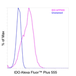 IDO Recombinant Mouse Monoclonal Antibody (eyedio), Alexa Fluor™ Plus 555