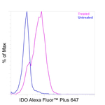 IDO Recombinant Mouse Monoclonal Antibody (eyedio), Alexa Fluor™ Plus 647