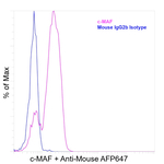 c-MAF Antibody in Flow Cytometry (Flow)