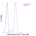 c-MAF Antibody in Flow Cytometry (Flow)