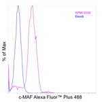 c-MAF Recombinant Mouse Monoclonal Antibody (sym0F1), Alexa Fluor™ Plus 488