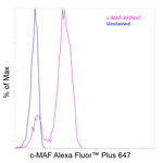 c-MAF Antibody in Flow Cytometry (Flow)