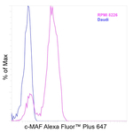 c-MAF Recombinant Mouse Monoclonal Antibody (sym0F1), Alexa Fluor™ Plus 647