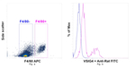 VSIG4 Antibody