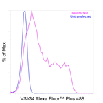 VSIG4 Antibody in Flow Cytometry (Flow)
