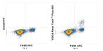 VSIG4 Recombinant Rat Monoclonal Antibody (NLA14), Alexa Fluor™ Plus 488