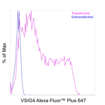 VSIG4 Antibody in Flow Cytometry (Flow)