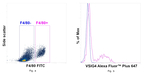 VSIG4 Antibody
