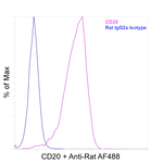 CD20 Antibody in Flow Cytometry (Flow)