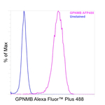 GPNMB Antibody in Flow Cytometry (Flow)