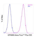 GPNMB Antibody in Flow Cytometry (Flow)