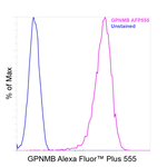 GPNMB Antibody in Flow Cytometry (Flow)