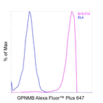 GPNMB Antibody in Flow Cytometry (Flow)