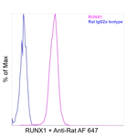 RUNX1 Antibody in Flow Cytometry (Flow)