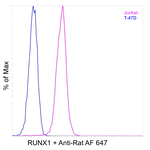 RUNX1 Antibody in Flow Cytometry (Flow)