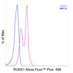 RUNX1 Recombinant Rat Monoclonal Antibody (RXDMC), Alexa Fluor™ Plus 488