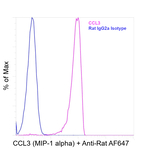 CCL3 (MIP-1 alpha) Recombinant Rat Monoclonal Antibody (DNT3CC)