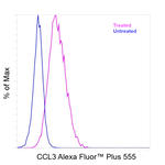 CCL3 (MIP-1 alpha) Antibody
