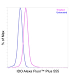 IDO Antibody