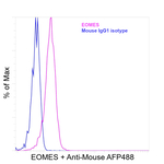 EOMES Antibody in Flow Cytometry (Flow)