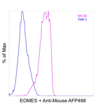 EOMES Antibody