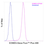 EOMES Antibody in Flow Cytometry (Flow)