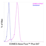 EOMES Antibody in Flow Cytometry (Flow)