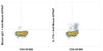 IL-17A Recombinant Mouse Monoclonal Antibody (eBio64CAP17)