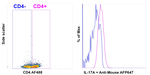 IL-17A Antibody