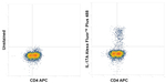 IL-17A Recombinant Mouse Monoclonal Antibody (eBio64CAP17), Alexa Fluor™ Plus 488