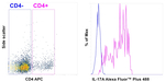 IL-17A Antibody