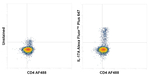 IL-17A Recombinant Mouse Monoclonal Antibody (eBio64CAP17), Alexa Fluor™ Plus 647