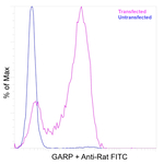 GARP Antibody in Flow Cytometry (Flow)