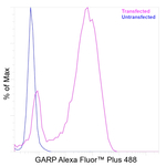 GARP Antibody in Flow Cytometry (Flow)