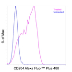 CD204 Antibody